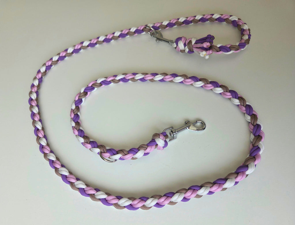 Hundeleine & Halsband Set lila taupe weiß – verstellbares Hunde Set, breites Halsband für mittelgroße und große Hunde