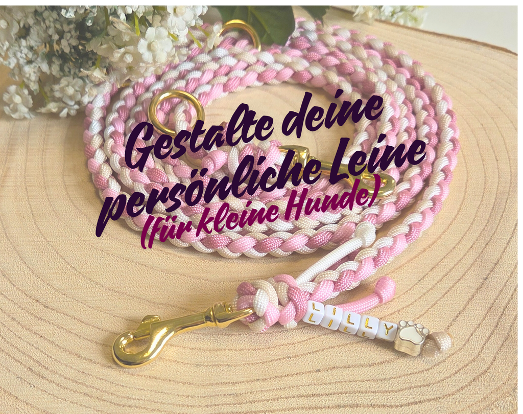 Geflochtene Paracord-Leine für Hunde < 5 kg