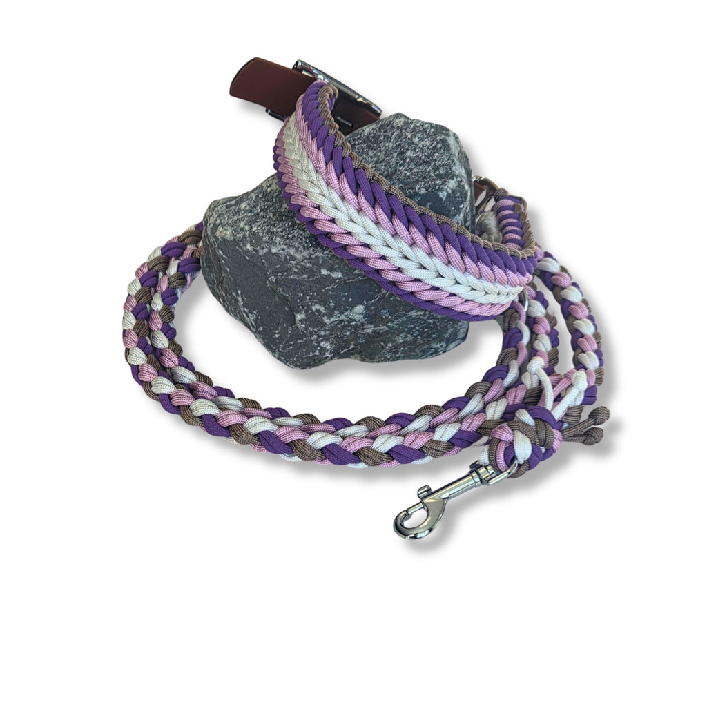 Hundeleine & Halsband Set lila taupe weiß – verstellbares Hunde Set, breites Halsband für mittelgroße und große Hunde