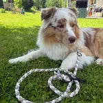 Individuelle Paracord-Leine für Hunde 15-30 kg