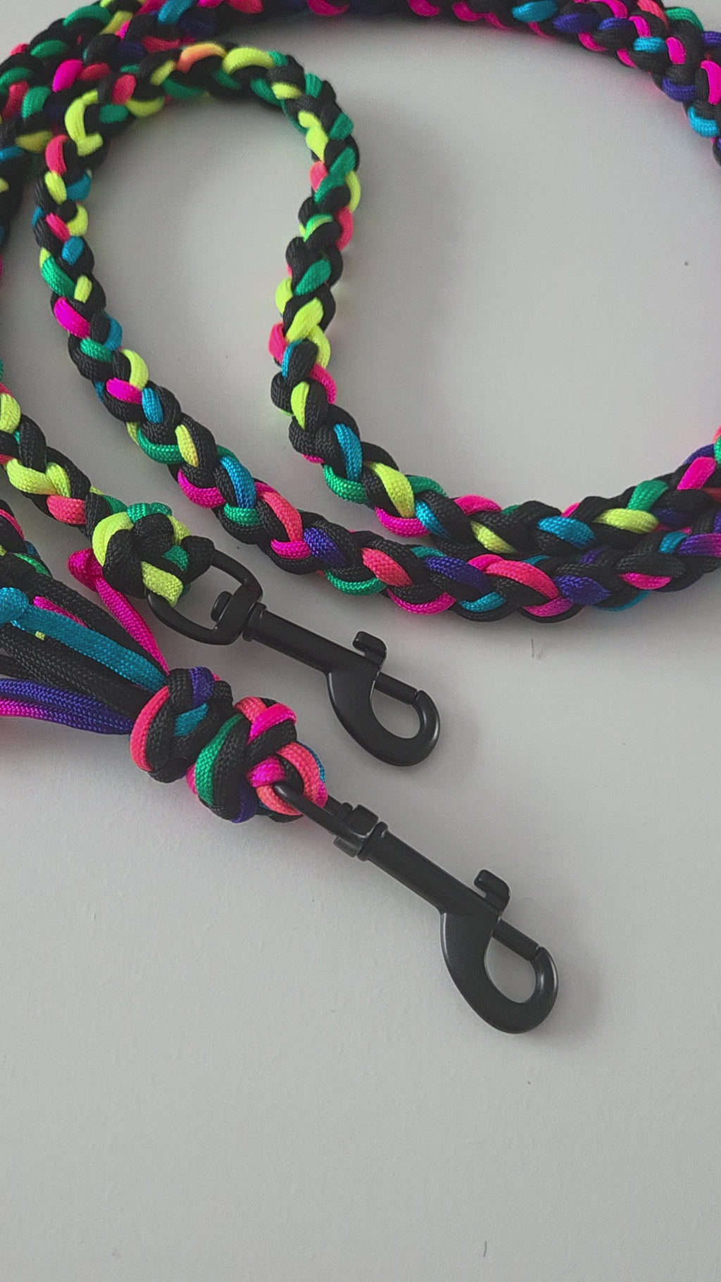bunte Hundeleine, Neonfarben, schwarz, für Hunde bis 15 kg, mittelgroße Hunde, Gassileine